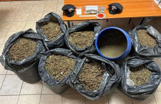 Collecorvino -  Ha 87 chili di marijuana a casa: arrestato 28enne